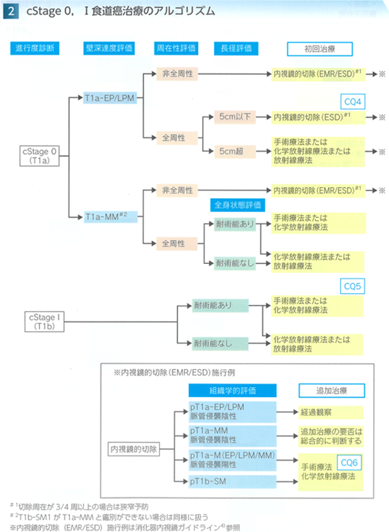食道がんの治療方針