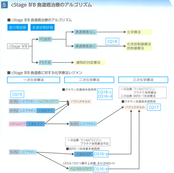 食道がんの治療方針