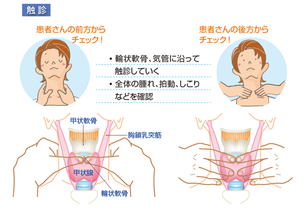 触診