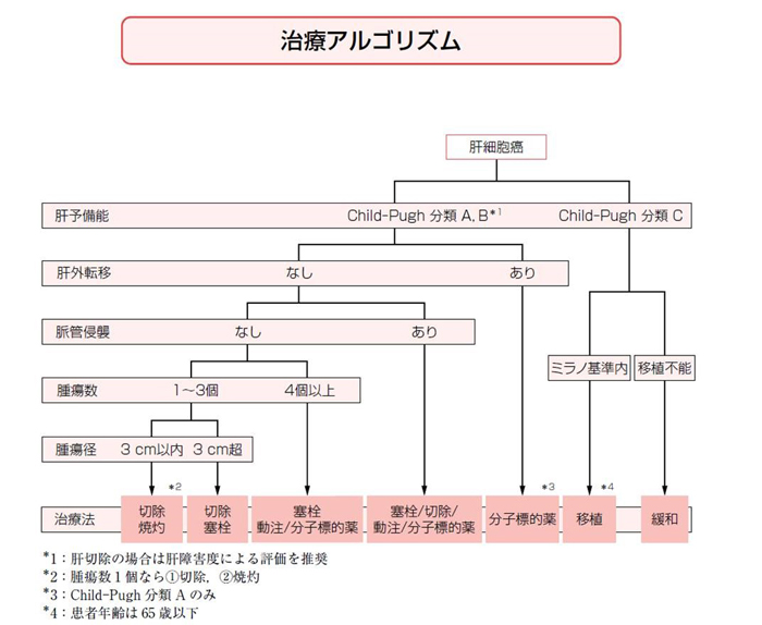 図7　肝癌診療ガイドライン2007年版の治療アルゴリズム